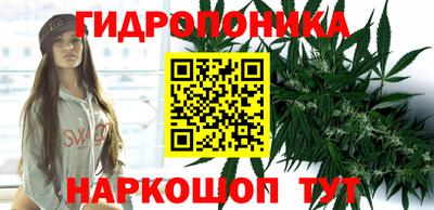 прущие грибы Партизанск