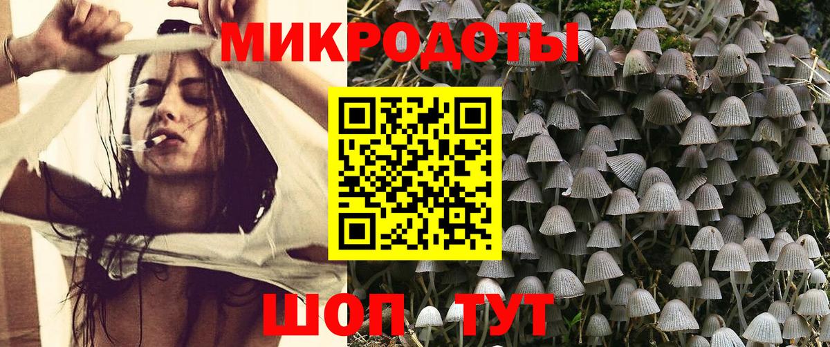 Соликамск  Псилоцибиновые грибы GOLDEN TEACHER  Вход с VPN  Псилоцибиновые грибы MAGIC MUSHROOMS 
