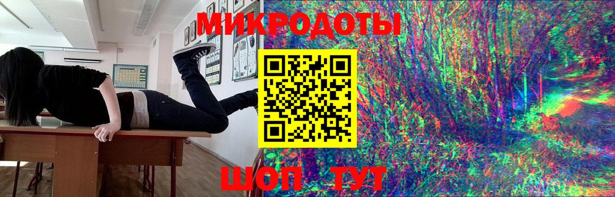 Галлюциногенные грибы Psilocybe Соликамск